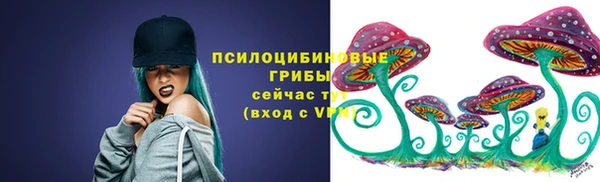 ALPHA PVP Лабытнанги