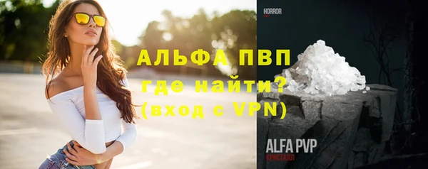 спайс Ладушкин