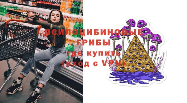 спайс Ладушкин