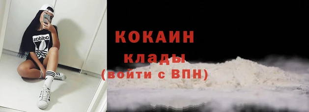 спайс Ладушкин
