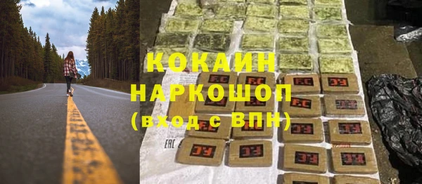 спайс Ладушкин