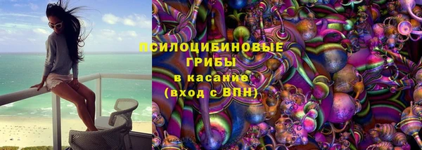 спайс Ладушкин