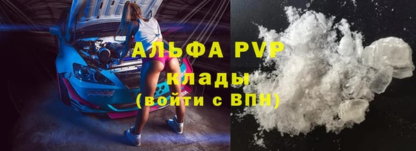 спайс Ладушкин