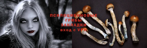 спайс Ладушкин