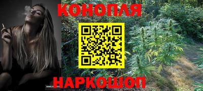jwh Камышлов