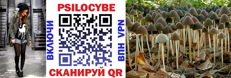 Псилоцибиновые грибы прущие грибы  Ступино 
