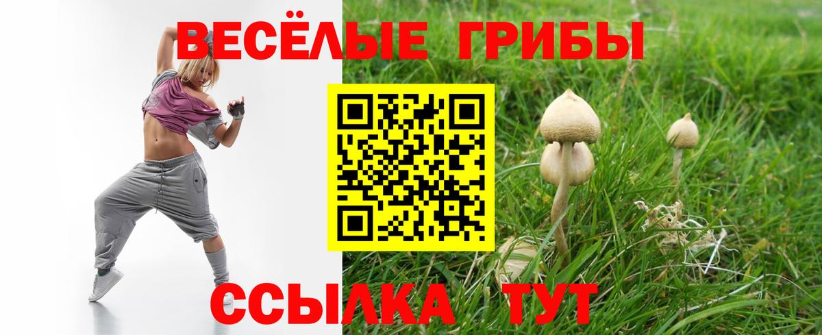 Галлюциногенные грибы Cubensis  Вход с VPN  Ступино 