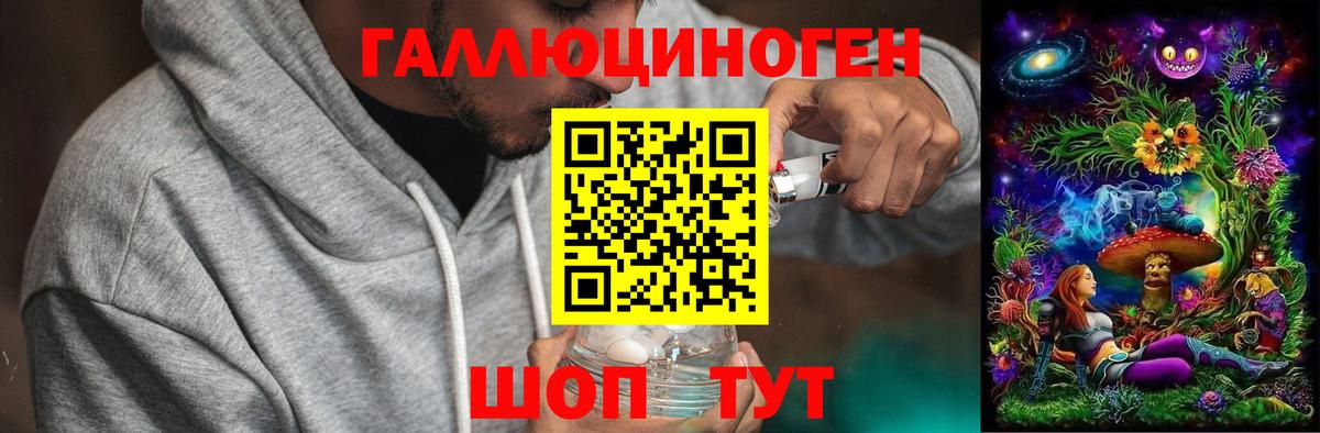 Галлюциногенные грибы Psilocybe Ступино