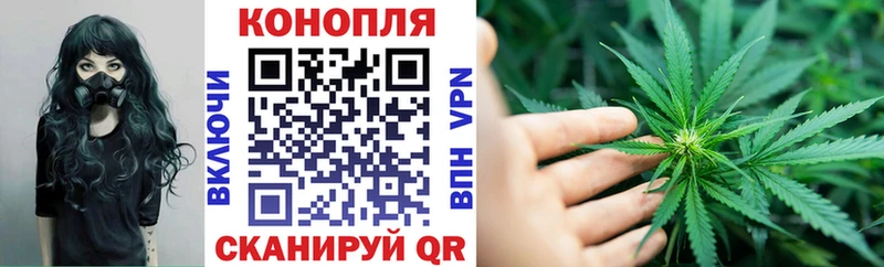 хочу наркоту  Ступино  Бошки марихуана ГИДРОПОН 